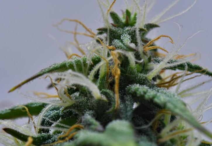 Cinderella | Fastbuds. Week 9 - Day 57