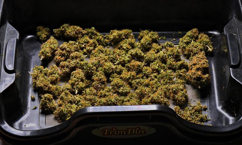 Cinderella | Fastbuds. Week 13