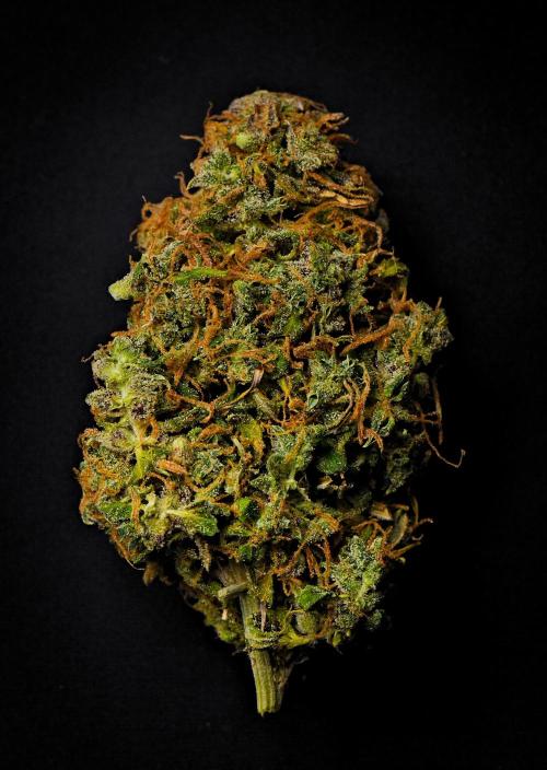 Cinderella | Fastbuds. Week 13