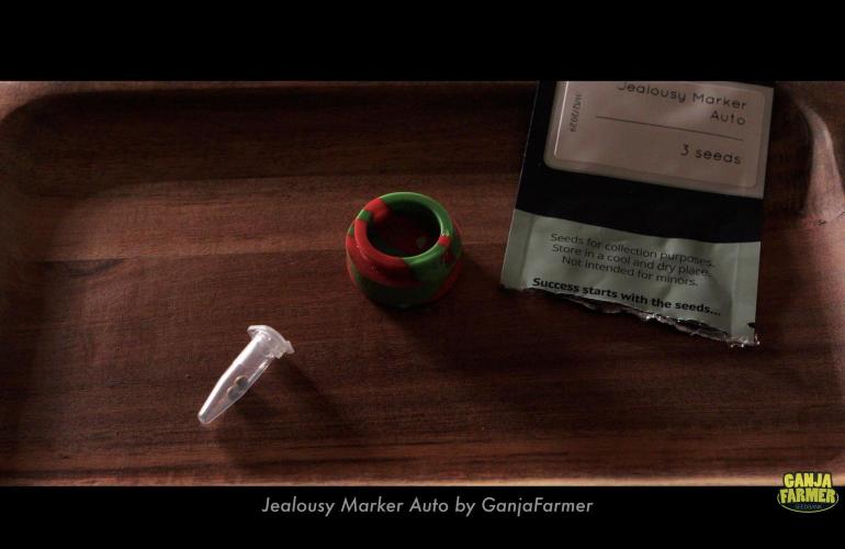 Jealousy Marker Auto | Ganja Farmer. Week 0