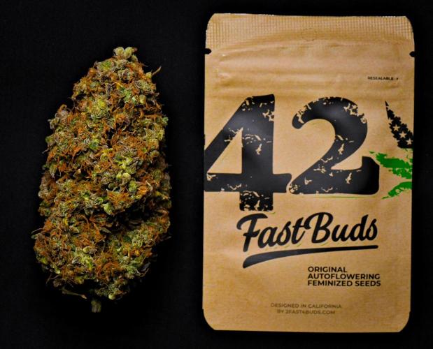 Cinderella | Fastbuds. Week 13