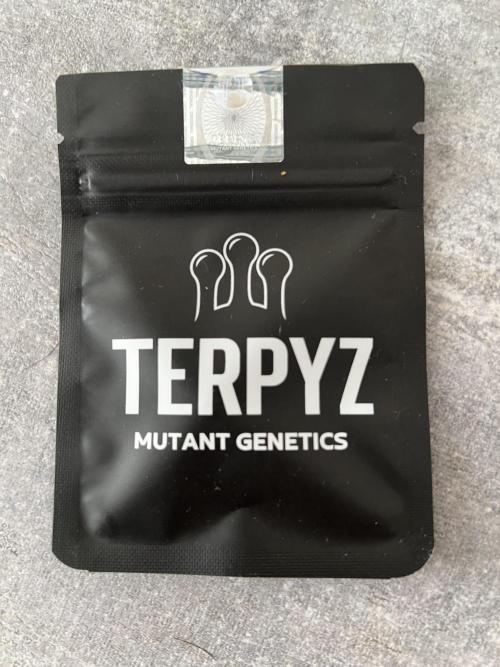 Ice Cream Marker - TerpyZ. Week 0