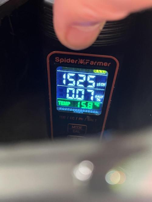 Apple Fritter Auto - Royal Queen Seeds. Week 9