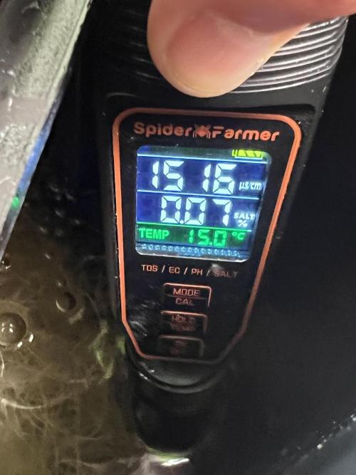Apple Fritter Auto - Royal Queen Seeds. Week 9