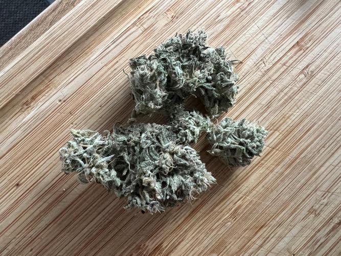 Apple Fritter Auto - Royal Queen Seeds. Week 14