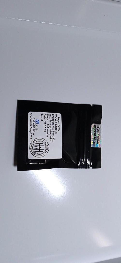 GGG25/26 HWSeeds. Week 0