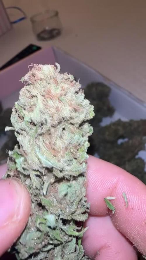 Chronik Outdoor 