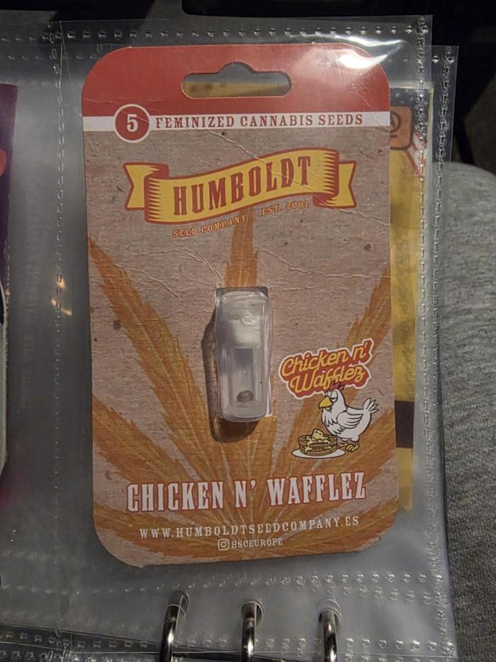 Chicken N Waffles. Week 0