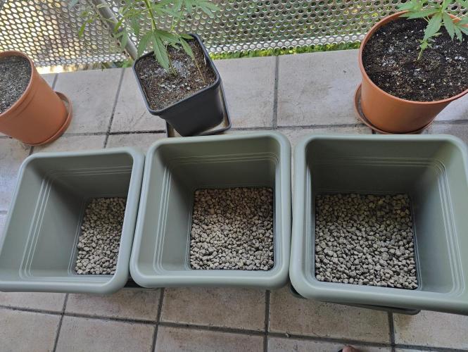 Ganja Farmer Freebie Grow. Week 7 - A drainage bed made of COMPO BIO GRANUPLANT.
