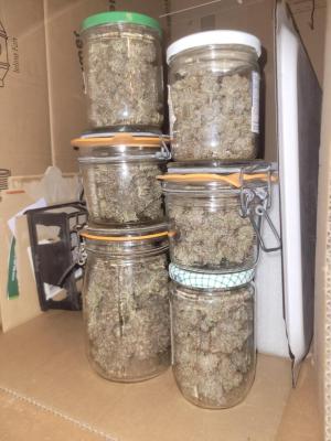 Comment by Highthom photo #1