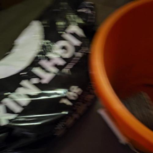 RQS Do-Sì-Dos Autoflower Grow 💚