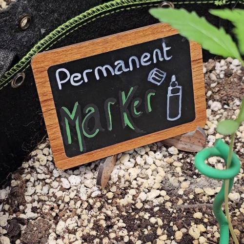 👽 Permanent Marker Auto 💀