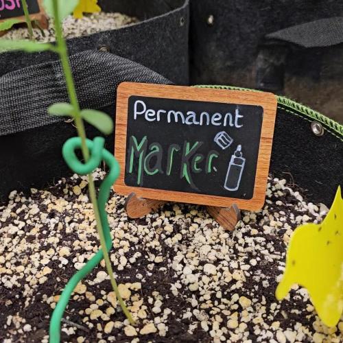 👽 Permanent Marker Auto 💀