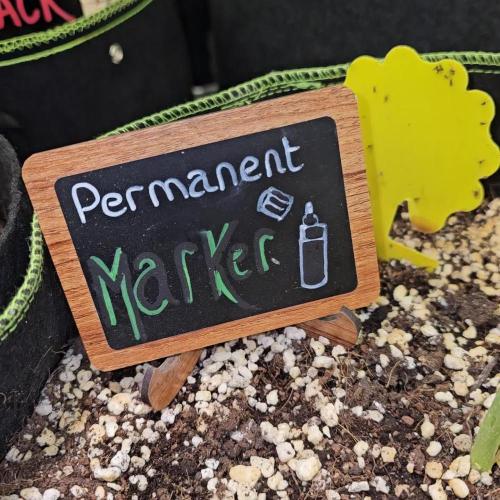 👽 Permanent Marker Auto 💀