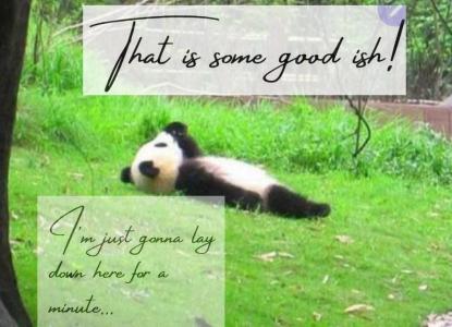 Comment by Kirsten photo #1