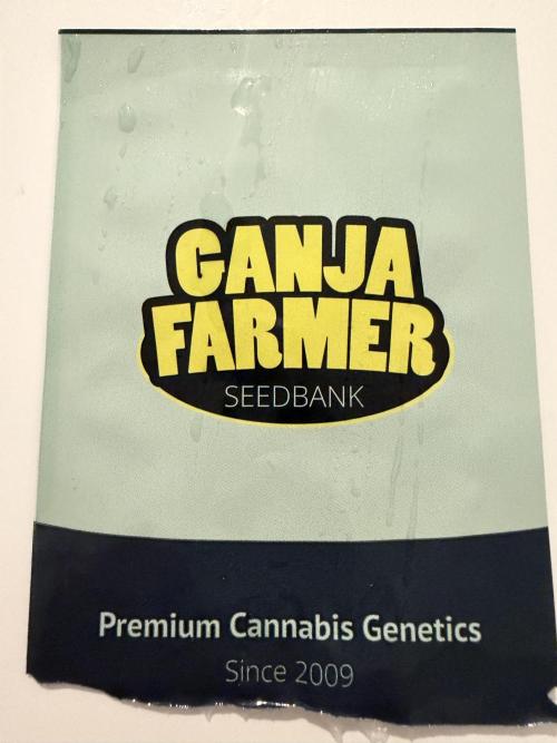 Tequila Sunrise - Ganja Farmer. Week 0