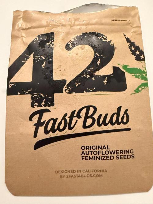 Sour Diesel - Fast Buds. Week 0