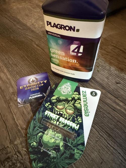 Eternity Cup 2026 - Sticky Brokkoli Auto. Week 0