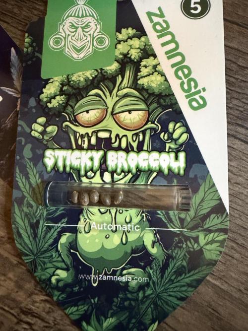 Eternity Cup 2026 - Sticky Brokkoli Auto. Week 0