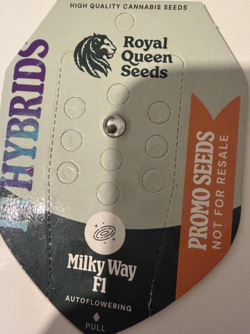 Milky Way F1 - RQS. Week 0