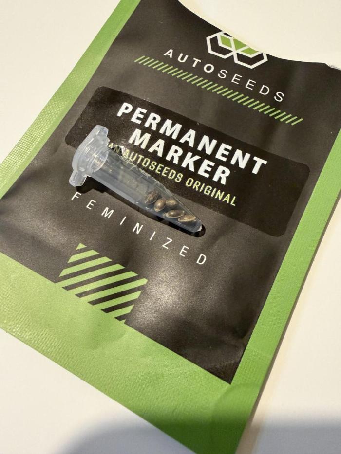 Permanent Marker - Auto Seeds. Week 0