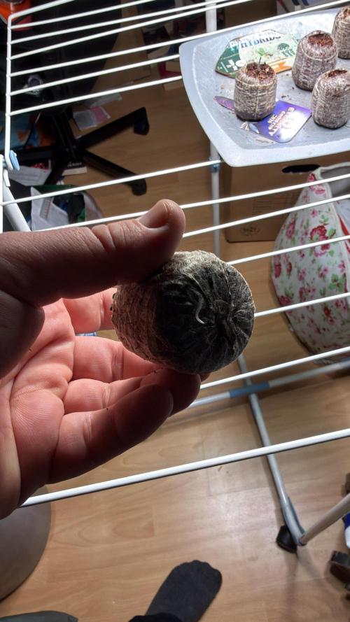 Milky Way F1 - RQS. Week 1