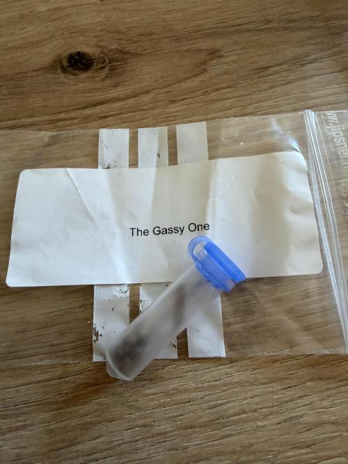 The Gassy One. Week 0