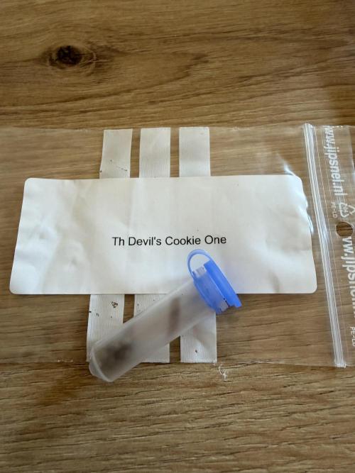 The Devil Cookie One - SSSC. Week 0