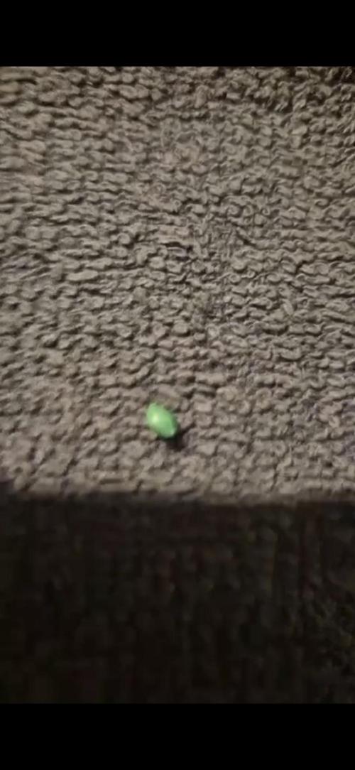 Growgoku420_official. Week 0 - Boost Green