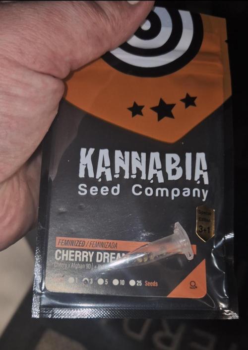 Seeds test. Week 0 - Cherry Dream heute .02.01.2026 test 2 
Direkt in erde 