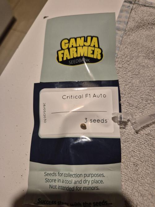 Ganjafarmer  seed test 2026. Week 0