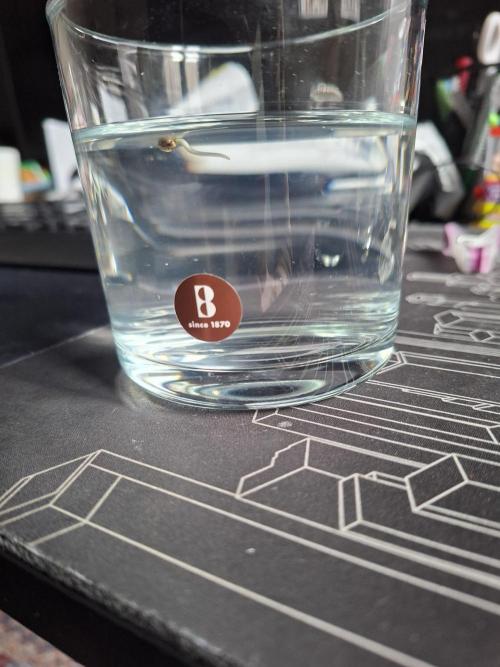 White widow F1 auto. Week 0