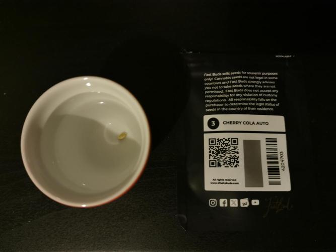 Cherry Cola Auto - Fast Buds. Week 0