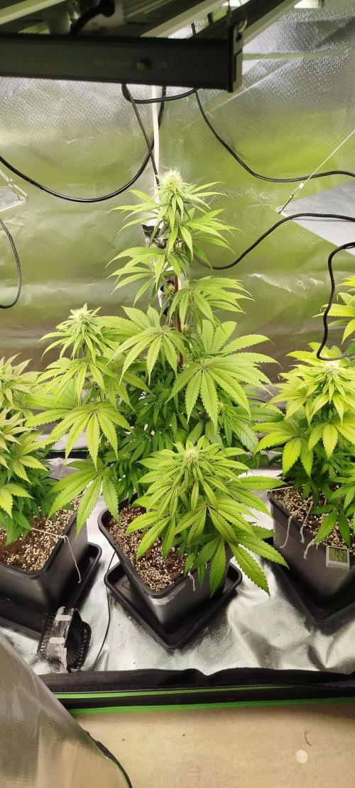 Neuanfang. Week 9 - 13.11