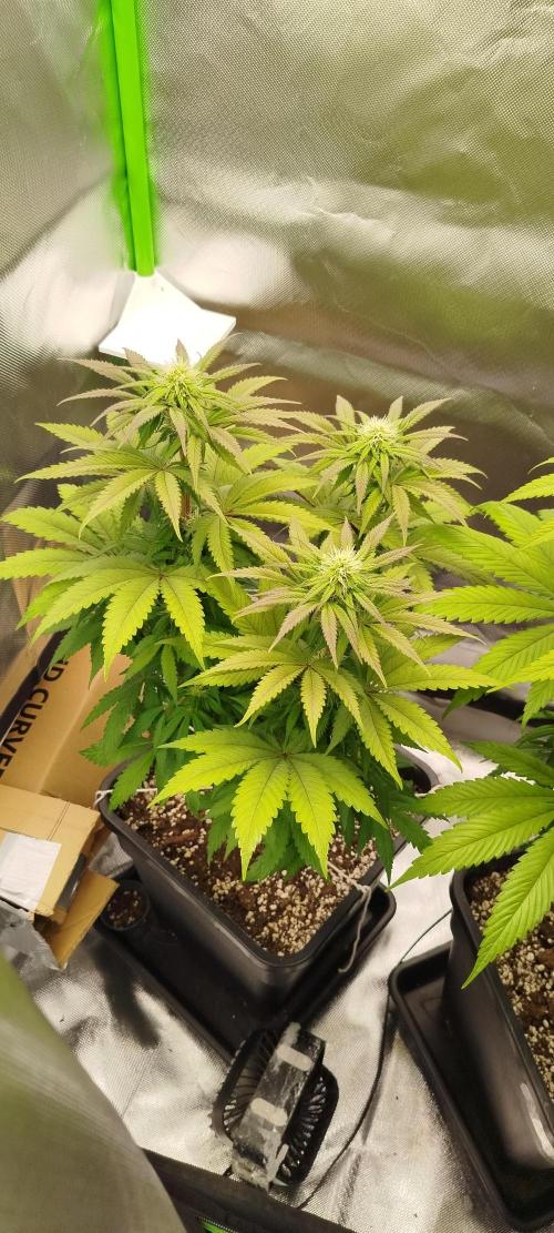 Neuanfang. Week 9 - 13.11