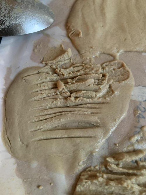 Calypso Sunrocks Cultivation Notes. Week 15