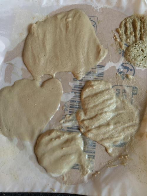 Super Sativa Cup Fast Strain A. Week 15