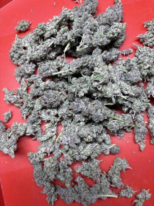 🌿 Cereal Session. Week 11