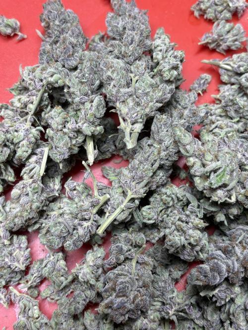 🌿 Cereal Session. Week 11