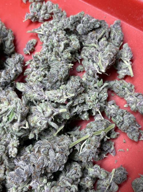 🌿 Cereal Session. Week 11