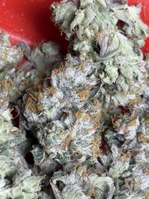 The Fried Banana Diaries. Week 12