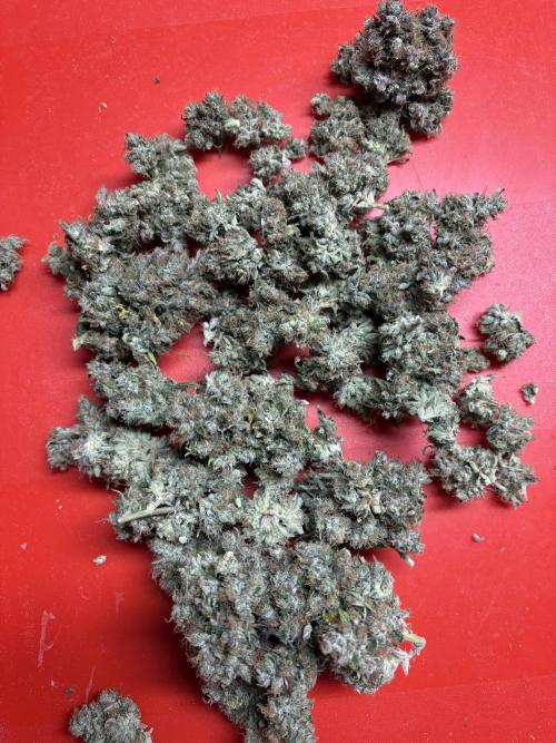 The 3-Peat Project. Week 12