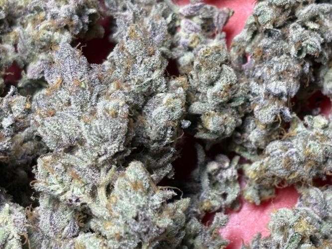 Rainbow Sherbert #11 Notes. Week 11