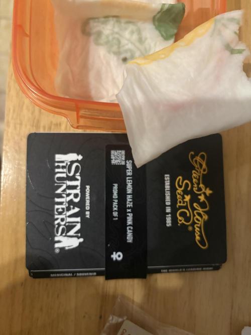 Electric Candy Haze – Grow Diary. Week 0