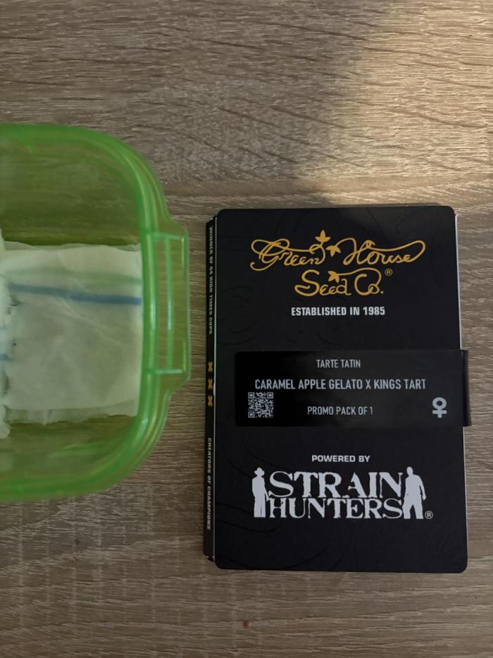 🍏 Tarte Tatin – Sweet & Sticky Run. Week 0