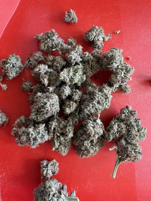 Milk & Terps – Coco Milk Diary. Week 14