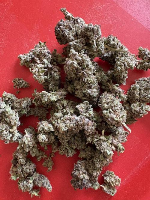 ✨ Strawberry Skilla – Terp Explosion. Week 14