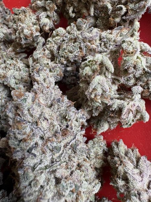 ✨ Strawberry Skilla – Terp Explosion. Week 14