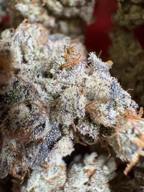 ✨ Strawberry Skilla – Terp Explosion. Week 14