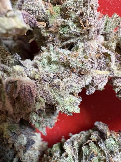 ✨ Strawberry Skilla – Terp Explosion. Week 14